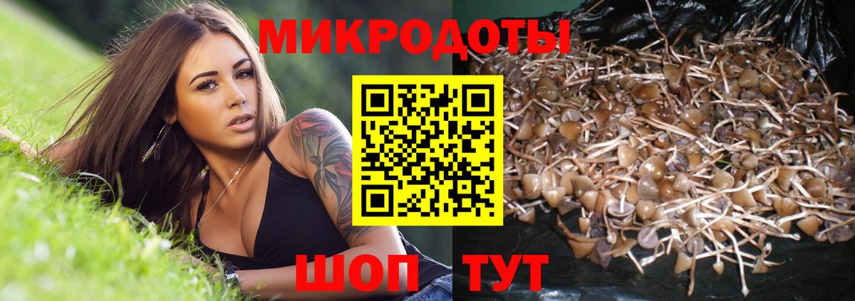 Гатчина  Галлюциногенные грибы мицелий  Вход с VPN 